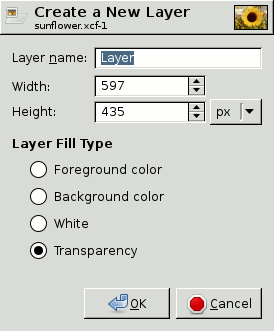 The New Layer dialog
