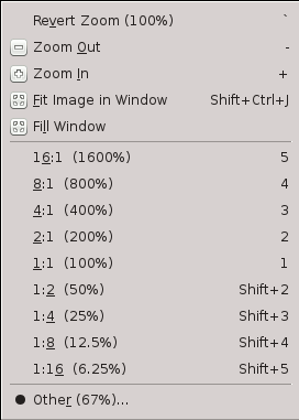 The Zoom submenu of the View menu